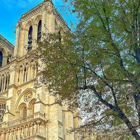 6eme - Saint Michel - Saint Germain Des Pres *